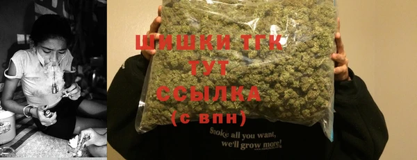 кристаллы Гусь-Хрустальный
