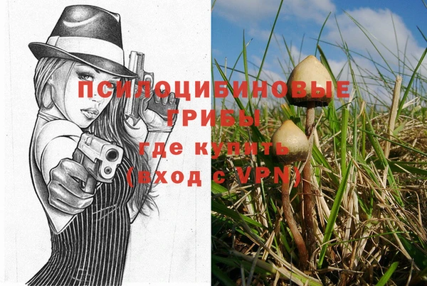 стафф Дмитровск