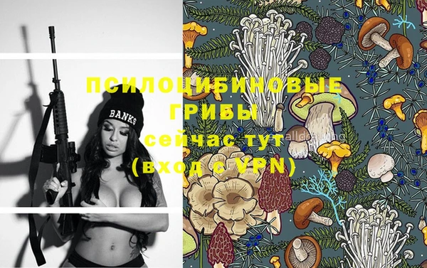 не бодяженный Гусиноозёрск