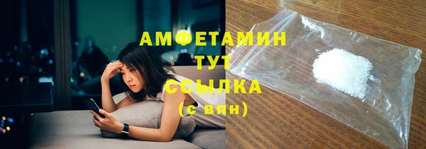 гидропоника Дмитриев