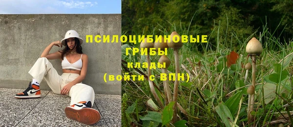 не бодяженный Гусиноозёрск