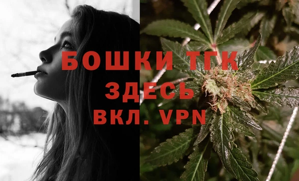 экстази Гусев