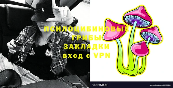не бодяженный Гусиноозёрск
