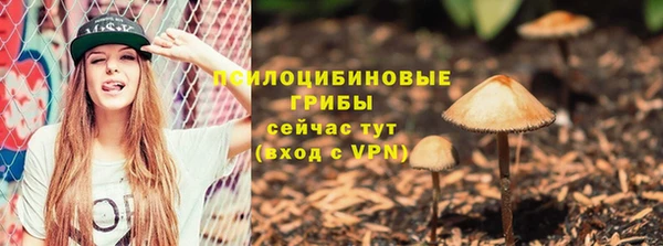 кристаллы Гусь-Хрустальный