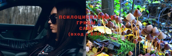 кристаллы Гусь-Хрустальный