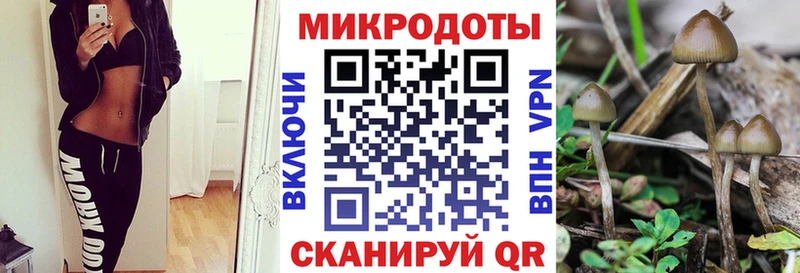 Купить Приволжск Псилоцибиновые грибы Psilocybine cubensis
